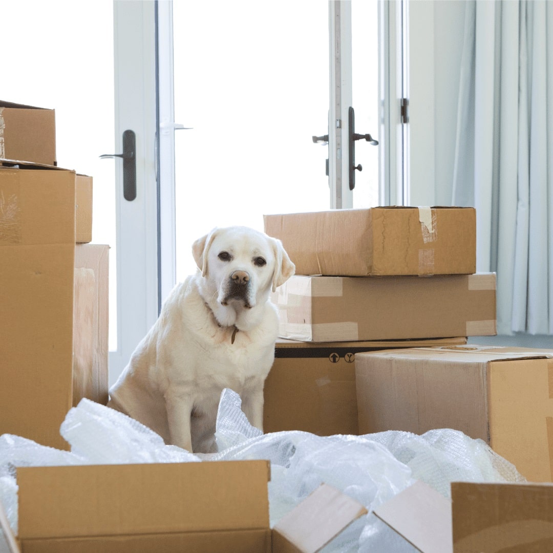 Local Move With Less Stress