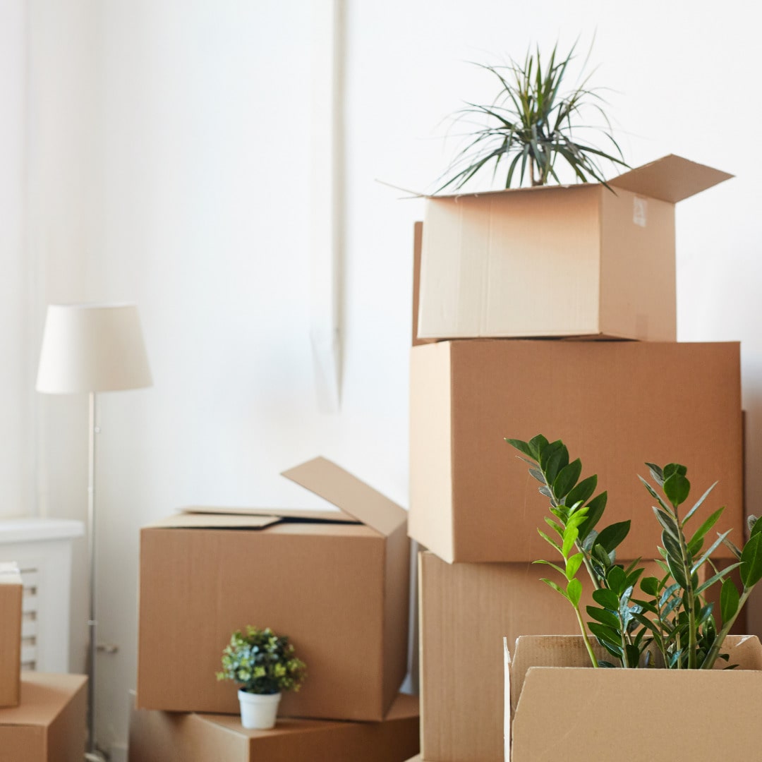 Tips For Avoiding Delays When Moving House